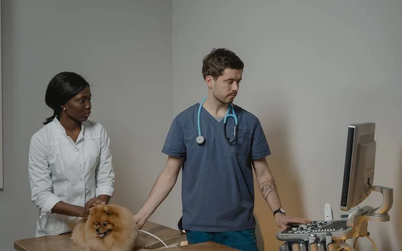 Urologie v malé praxi